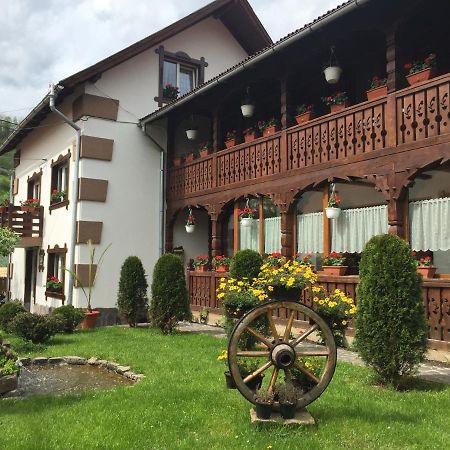 Pensiunea Cretuca Botiza Exteriér fotografie