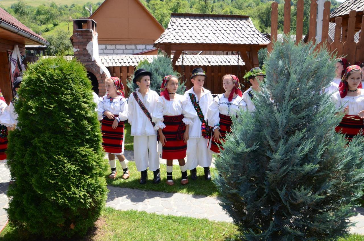 Pensiunea Cretuca Botiza Exteriér fotografie