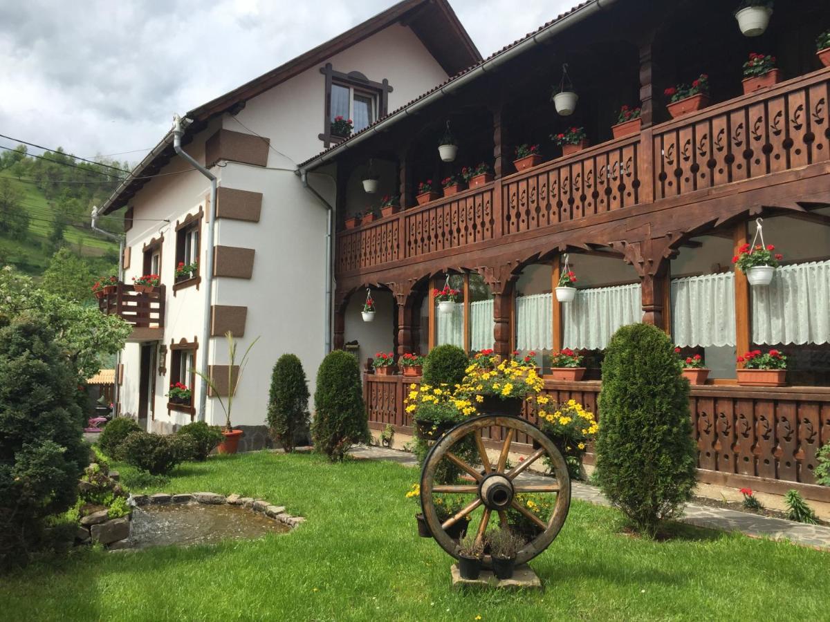 Pensiunea Cretuca Botiza Exteriér fotografie