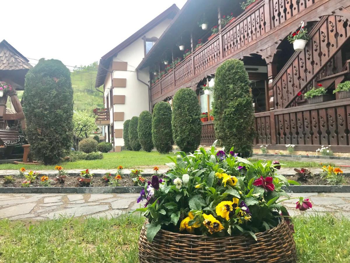 Pensiunea Cretuca Botiza Exteriér fotografie
